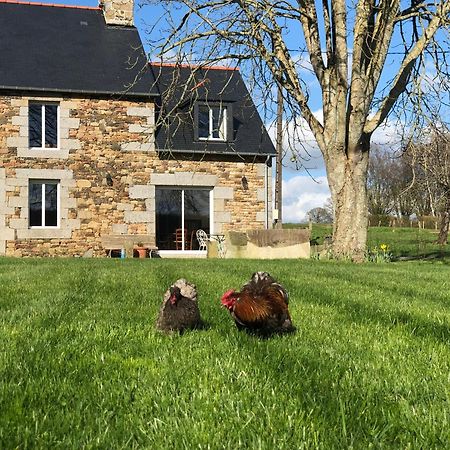 Maison Chic Proche Du Mont Saint Michel Marcilly  Екстериор снимка